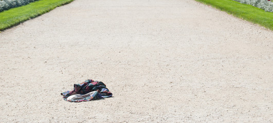 a lost thing on the road.