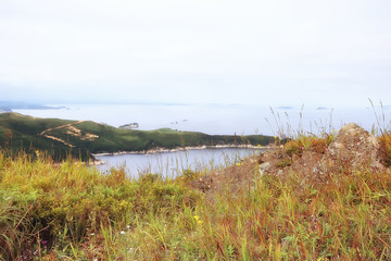 autumnal background beach  / dry yellow grass by the sea, landscape background with islands in the sea