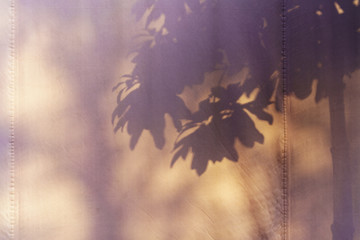 Beautiful shadow of tree and leaves on canvas for background