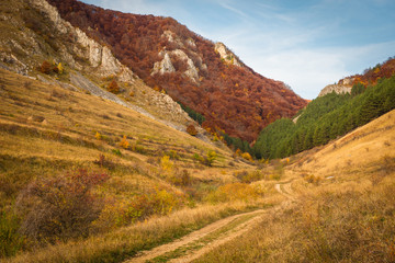 Autumn in Transylvania