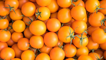 Tomaten