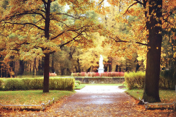 October landscape / autumn in the park, yellow October trees, alley in the autumn landscape