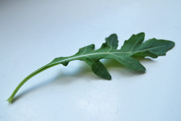 Ruccola on the white background