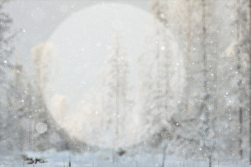 blurred winter background with a circle for the text of nature