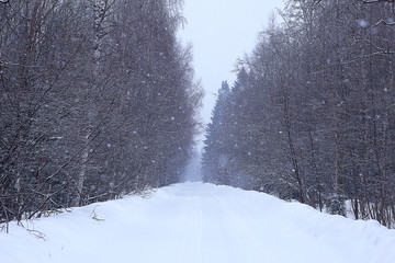 snow fog landscape snowfall / winter landscape cold seasonal weather, nature in winter form, foggy outside