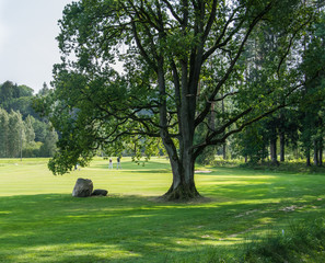 Golf courses in Sigulda, Latvia. Landscape with golf courses.