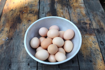Fresh eggs from the henhouse: organic food