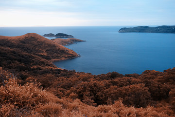 high seashore greenery of the cliff