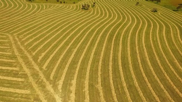 Harvestor bilder – Bläddra bland 238 stockfoton, vektorer och videor ...