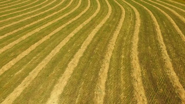 Harvestor bilder – Bläddra bland 238 stockfoton, vektorer och videor ...