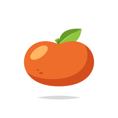 Orange fruit vector isolated