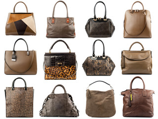 Brown female handbags collection isolated on white background.Front view.
