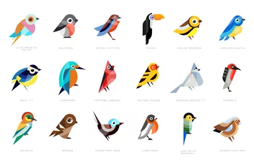 Fotobehang Collection of birds, lilac breasted roller, bullfinch, red bellied pitta, great tit, kingfisher, northern cardinal, bee eater, sparrow, superb fairy vector Illustrations © topvectors
