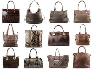 Brown female handbags collection isolated on white background.Front view.
