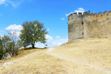 Fototapeta na wymiar Vue sur le Fort-saint-andré