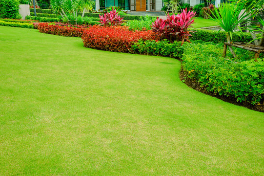 Landscape formal, Front yard is beautifully designed garden, Design background