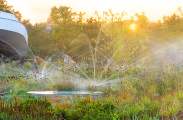 The autumn park is lit by the setting sun. Automatic watering sprays water. Colorful background. Autumn background. Selective focus, side view, place for text.
