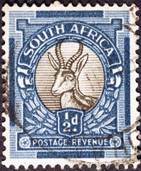 Springbok on vintage south african postage stamp