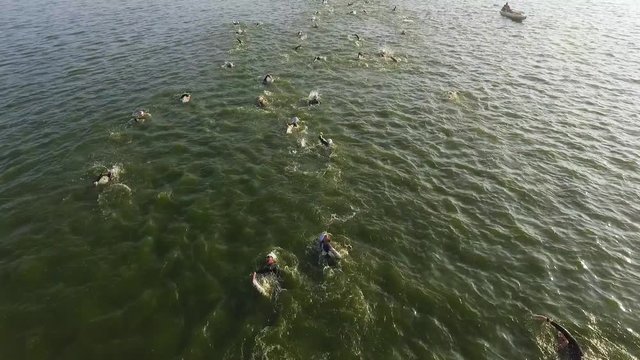 Sunrise aerial view of athlete swimmers swimming race slow motion. open water triathlon long distance swimming ironman triathlon competition. Healthy lifestyle. Wellness, sport and fitness concept
