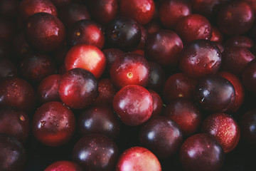ripe tasty cherry plum