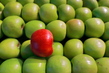 Cider king