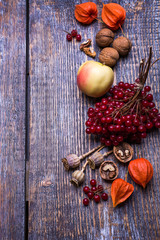 Autumn fruits and berries - red apples, ripe viburnum, nuts on a wooden rustic table.