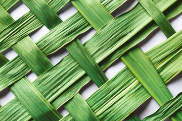 Braided green bamboo  leaves, texture background, macro