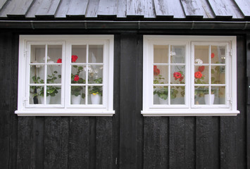 fenêtres fleuries