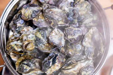 steamed oyster