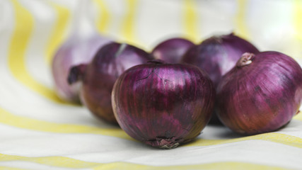 blue onion and garlic on a striped yellow white background