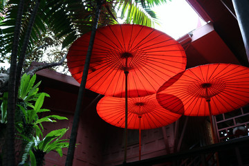 A l'ombre des parasols