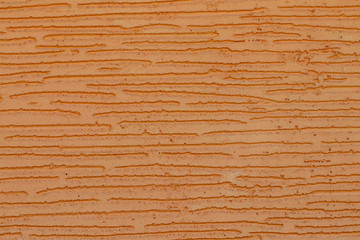 Old wood texture background, wood planks close-up