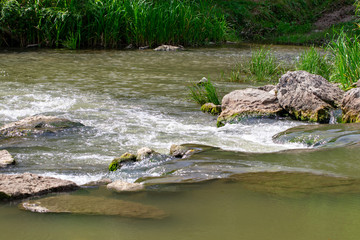 beautiful river with stones in summer on a Sunny day