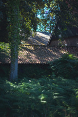Old dutch farm in dense summer forest.