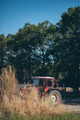 Vintage tractor parked on farmland on sunny summer day.
