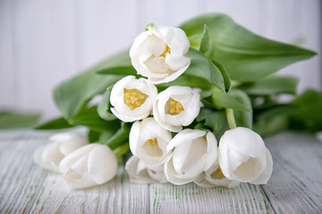 Beautiful white tulips on a light wooden background. Free space