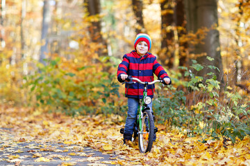 Little kid boy in colorful warm clothes in autumn forest park driving a bicycle. Active child cycling on sunny fall day in nature. Safety, sports, leisure with kids concept