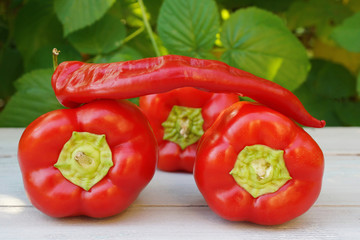 red hot chili pepper on a white wooden table close-up.