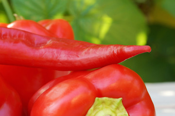 red hot chili pepper on a white wooden table close-up.