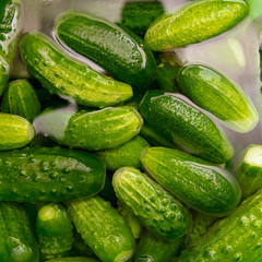 Harvest of cucumbers from the garden as a background