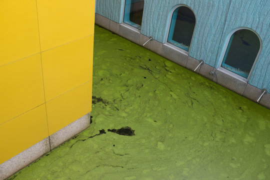 Green, Yellow and Blue