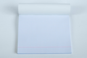 a blank notebook in a cage on a white background