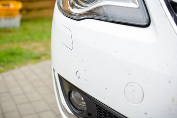 Insekten Schmutz Stoßstange weißes Auto Scheinwerfer