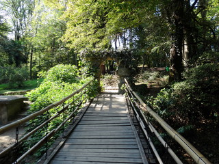 Old wooden suspension bridge