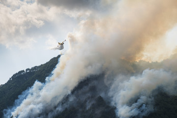 Aerial firefighting with Canadair plane on a big wildfire.
Firemen on a water bomber aircraft fighting flames in forest.
