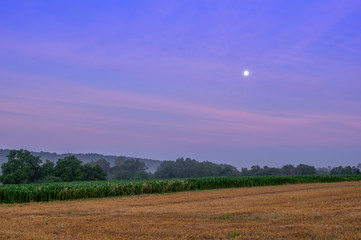 Obraz premium Moon in the Sky Above Fields