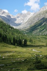 Fototapeta na wymiar paesaggio montagna natura rocce cime alberi verde bosco vallata veduta alpi cielo azzurro