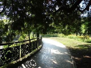 Shady alley in the park