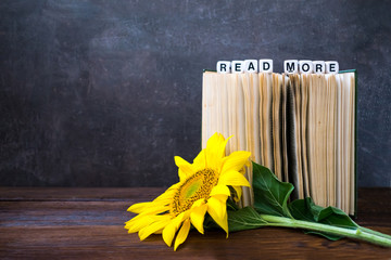 Vintage Old books with words READ MORE and sunflower. Open book with bright yellow flower and text READ MORE above. Reading, learning, education, library concept mockup