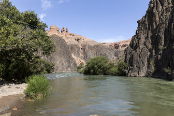 Fototapeta na wymiar Charyn River flows within the Charyn Canyon and provides a fertile shore with its water. The canyon is also called valley of castles and is located east of Almaty in Kazakhstan.